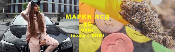 гидра Абаза