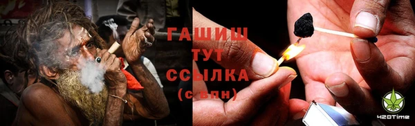 гидра Абаза