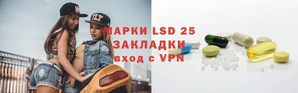 гидра Абаза