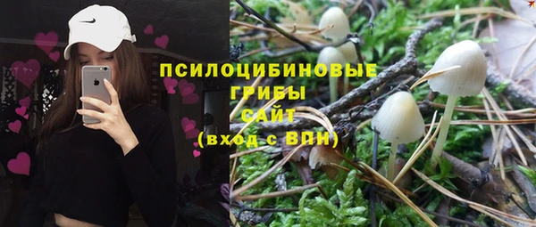 гидра Абаза